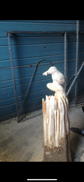 Kingfisher "The perch of success"